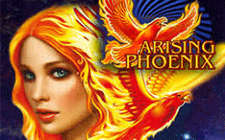 Arising Phoenix